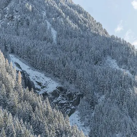 Haus Gleinser - * Neustift im Stubaital