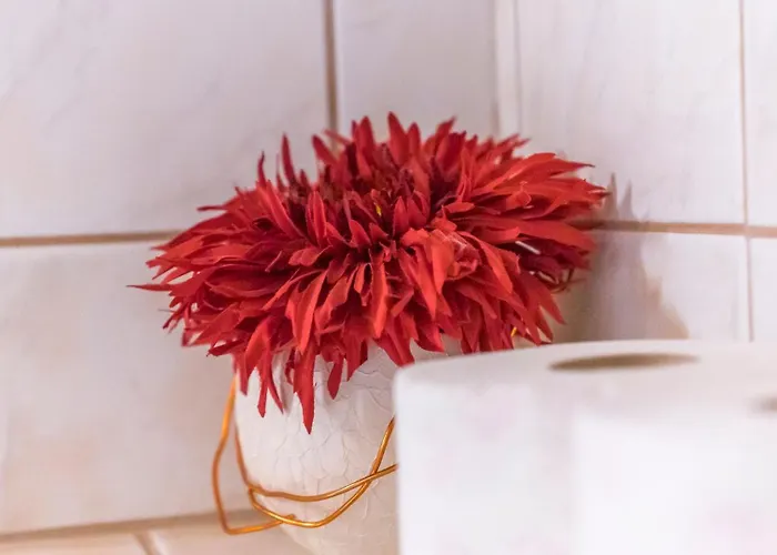 Apartamento Haus Gleinser -