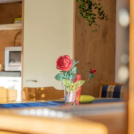 Haus Gleinser - Daire